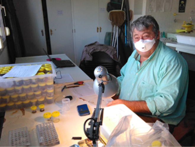 Técnico