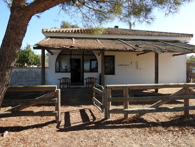 Casa 1