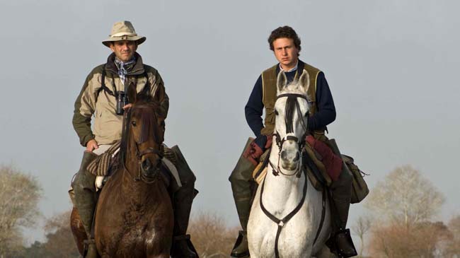 Caballos
