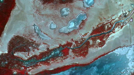 Sedimentación de la marisma
